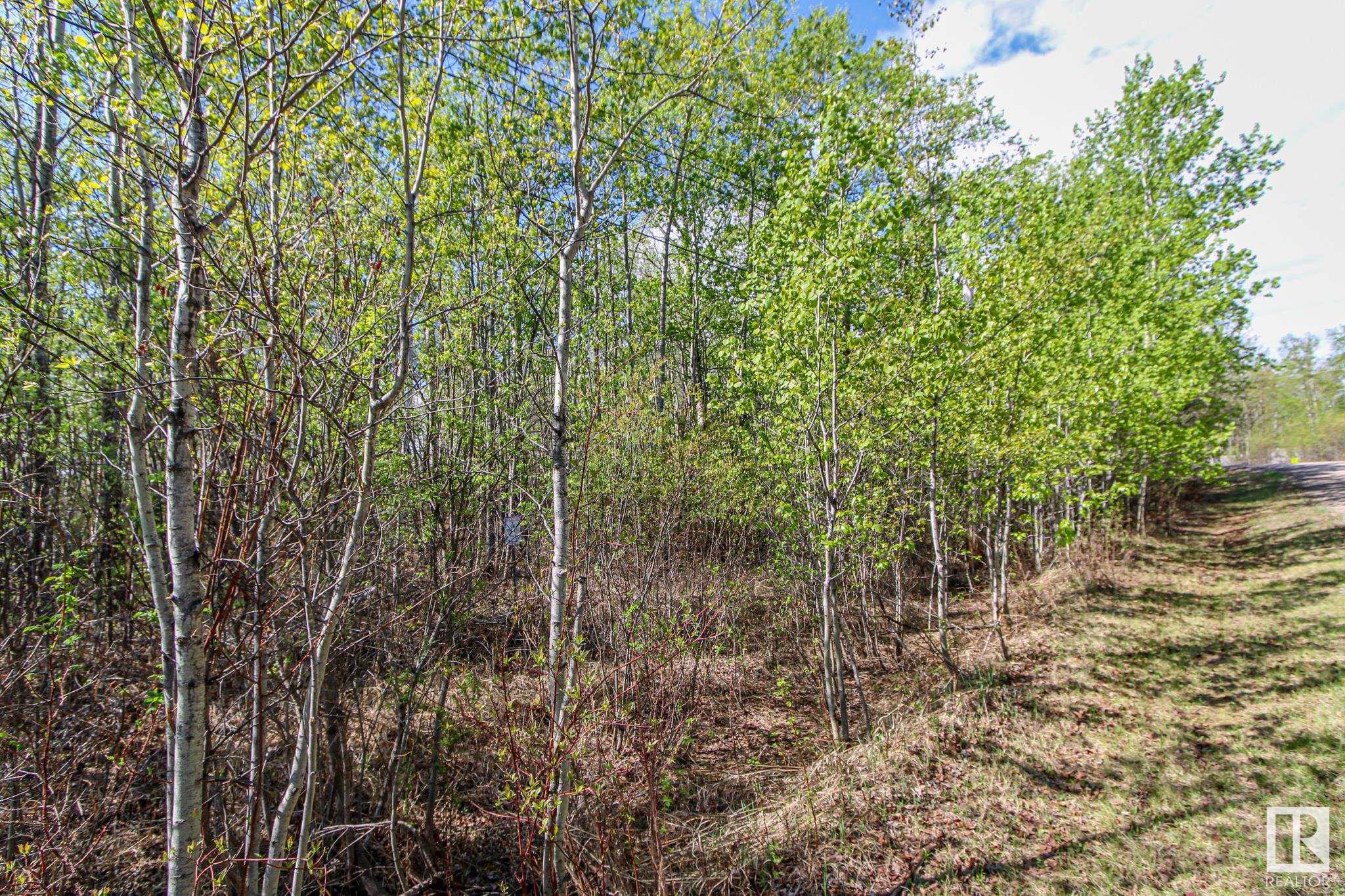 132 11124 Township Road 595, Rural St. Paul County, Alberta T0A0C0 For