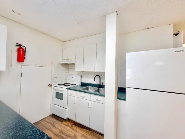 Unit Basement - 384 Blue Mountain Street, Coquitlam 3