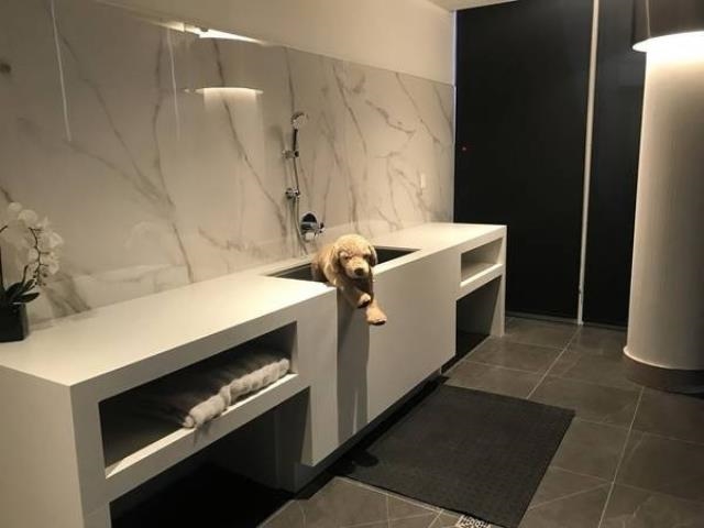 Unit 3801 - 4720 Lougheed Highway, Burnaby 2